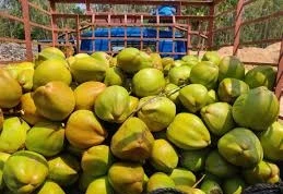Noushad  kallukandy