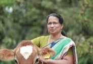 Dairy Co-operative Society