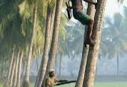 Rajan VP