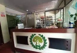 Ayur Clinic