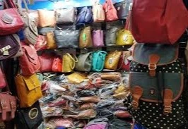 Surya Bags