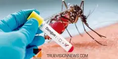 #-dengue | ഡെങ്കി, 'പ്രതിരോധം പ്രധാനം': പത്തനംതിട്ടയില്‍ 14 ഹോട്‌സ്‌പോട്ടുകള്‍