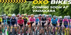 #oxobikes | യുവാക്കൾക്ക് മുൻഗണന; വടകര ഓക്സോയുടെ ഷോറൂമിലേക്ക് വിവിധ തസ്തികകളിൽ ഉടൻ നിയമനം