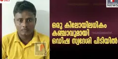 ഒരു കിലോയിലധികം കഞ്ചാവുമായി ഒഡിഷ സ്വദേശി പിടിയിൽ