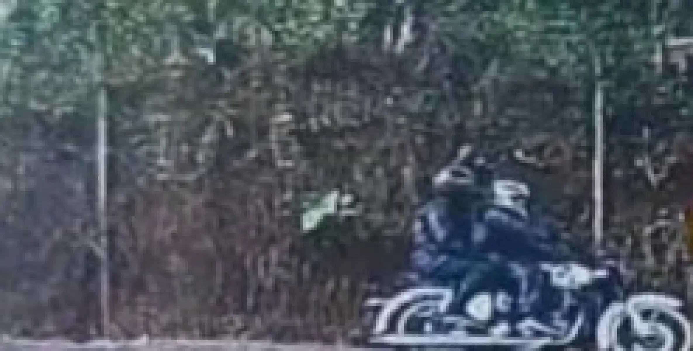 കൂത്താട്ടുകുളത് വീട്ടിൽ കയറി വീട്ടമ്മയുടെ മാല പൊട്ടിച്ചു
