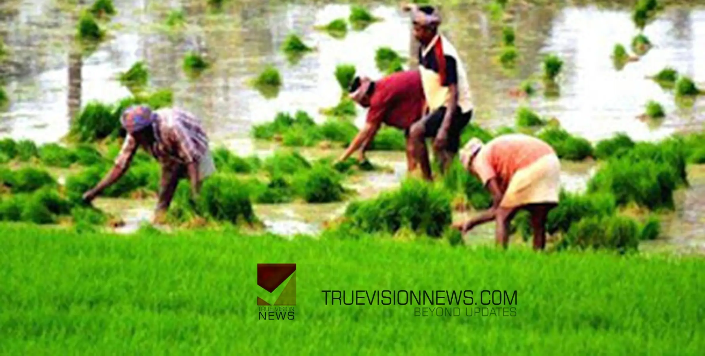 കൃഷി മേഖലയിലെ പ്രതിസന്ധിക്ക് പരിഹാരം കാണണം; ബി എം എസ് മരുതോങ്കര