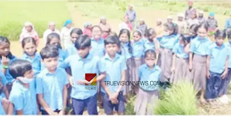 #studytour | പഠന യാത്ര സംഘടിപ്പിച്ചു; കൃഷിയെ അടുത്തറിയാനായി വയലിലേക്കിറങ്ങി വിദ്യാർത്ഥികൾ 