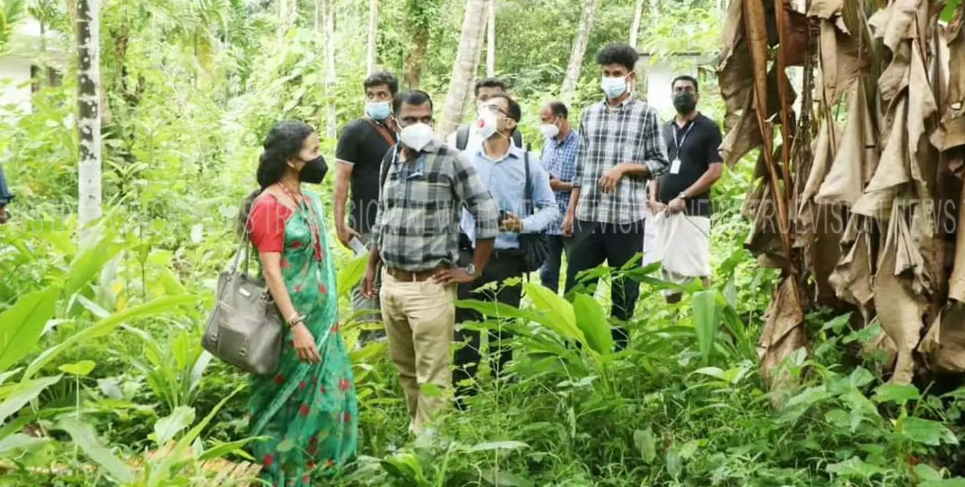 NIPHA| വവ്വാലുകളുടെയും മൃഗങ്ങളുടെയും  സാമ്പിള്‍ ശേഖരണം തുടരും