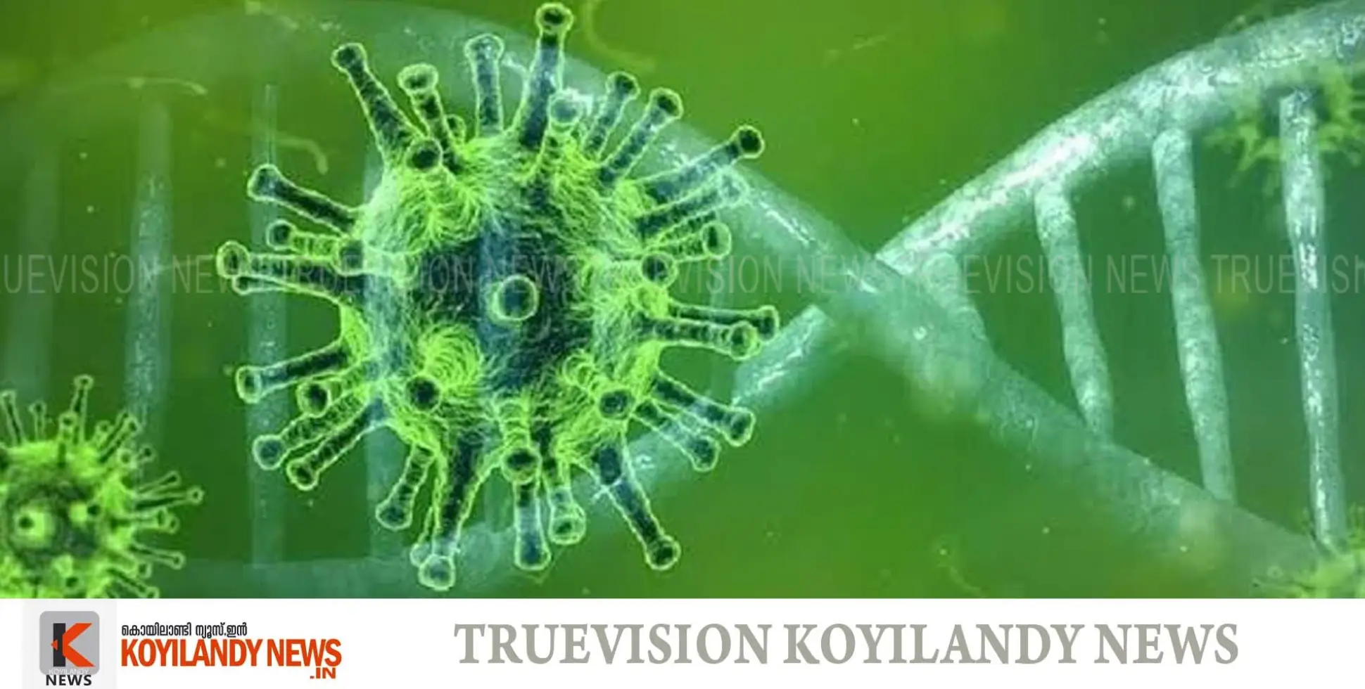 #nipah | നിപ : ഇനി വരാനുള്ളത് 6 സാമ്പിളുകളുടെ പരിശോധനാഫലം ;7 സാമ്പിളുകള്‍ കൂടി നെഗറ്റീവെന്ന് ആരോഗ്യവകുപ്പ് മന്ത്രി വീണാ ജോര്‍ജ്