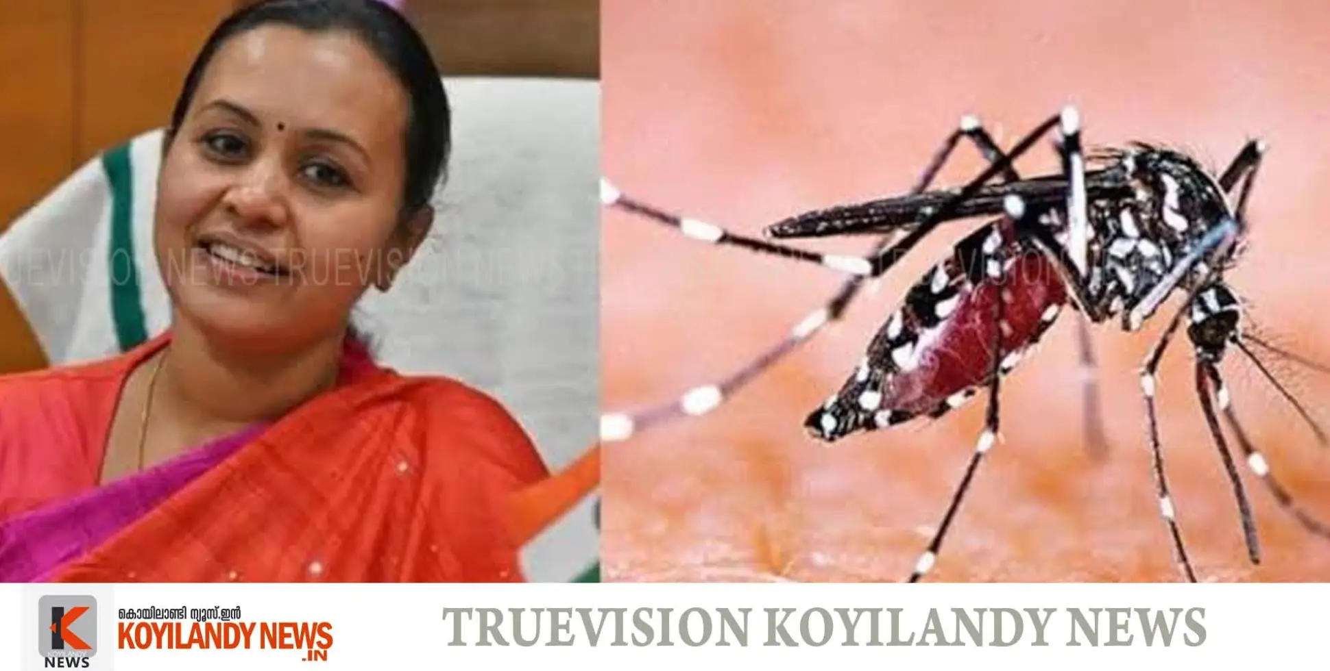 #veenagoerge | ഡെങ്കിപ്പനി: ഞായറാഴ്ച കുറച്ച് നേരം നമ്മുടെ ആരോഗ്യത്തിന്;  ഡ്രൈ ഡേ ആചരിക്കണമെന്ന് മന്ത്രി വീണാ ജോര്‍ജ്